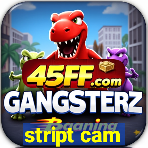 stript cam